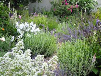 Jane Stewart Garden Design