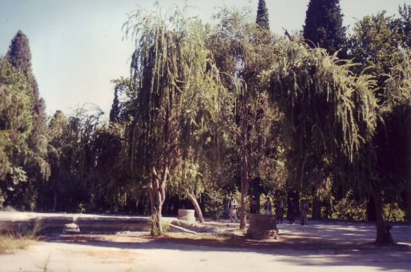 Nimla Gardens, 1988