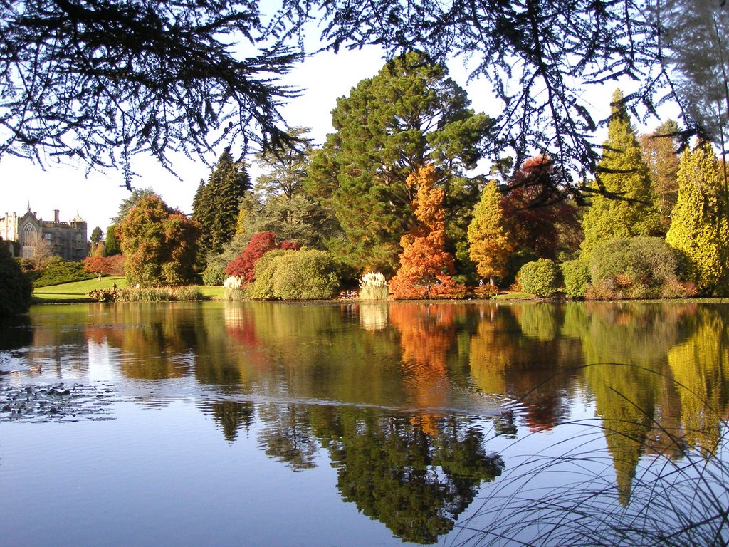 Sheffield Park Garden, East Sussex