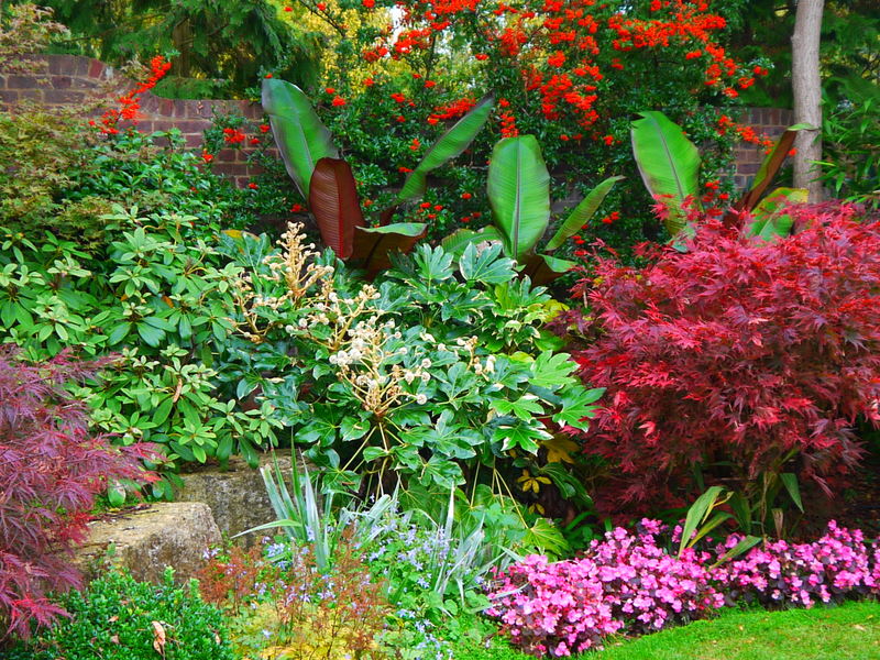 The Constant Gardener Design Co