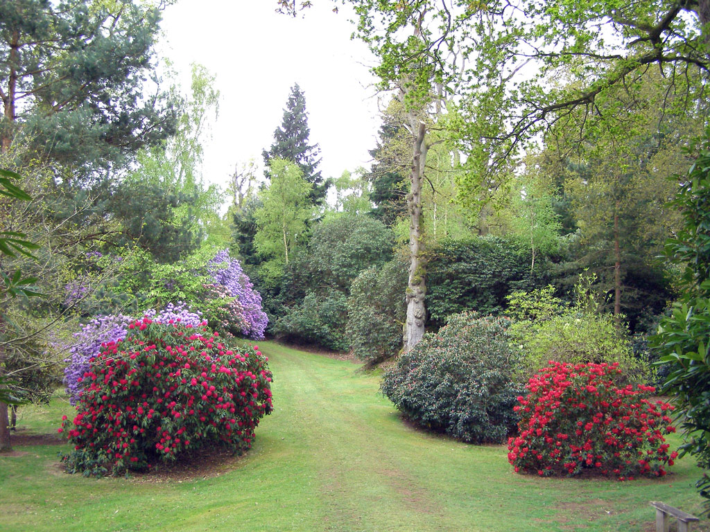 Bowood, Derry Hill