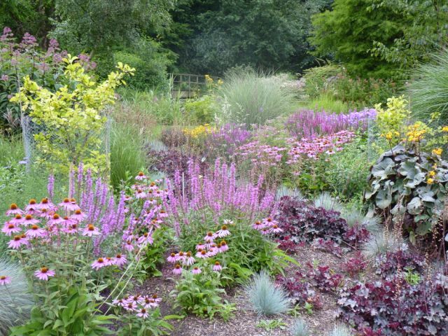 Bressingham Garden, August