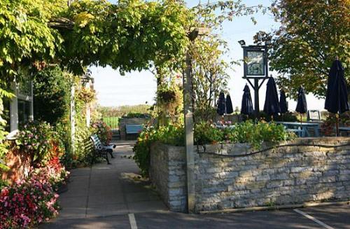 The Blue Boar