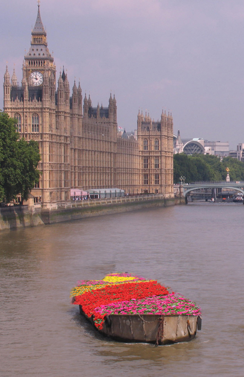 Barge flower planting for Chelsea Fringe Garden Festival 2012