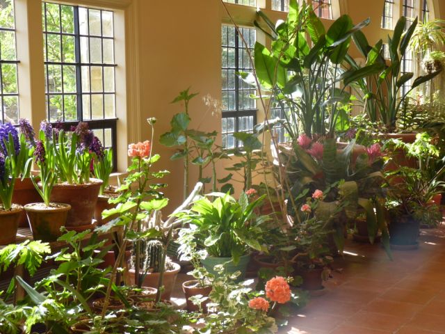 Conservatory, Standen