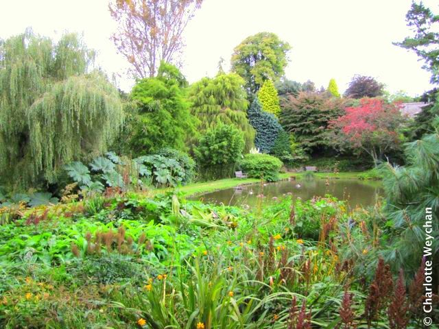 Marwood Hill Garden, September 2010
