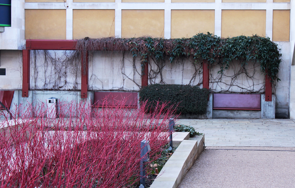 Tate Britain Garden