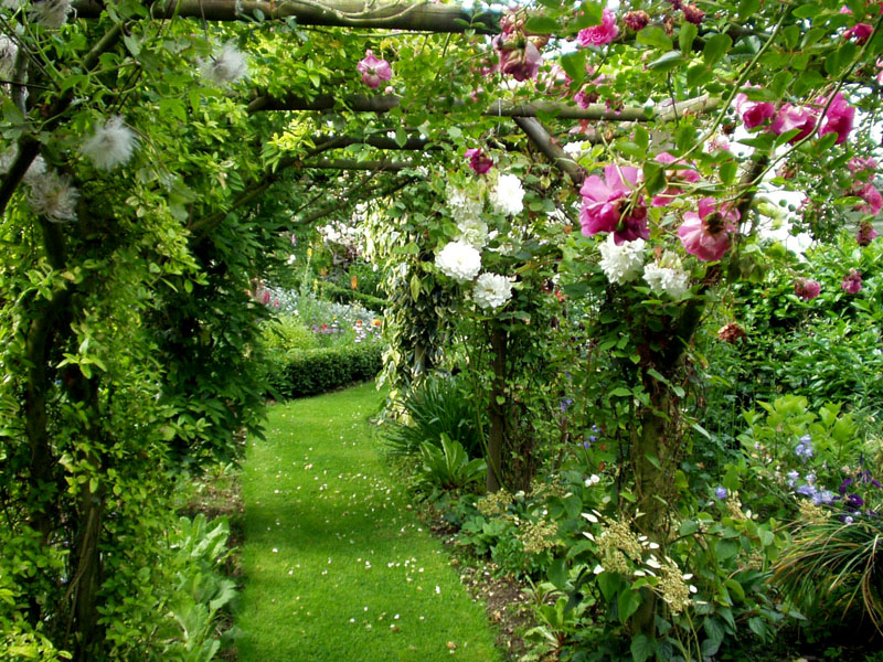 Arbor, Parkhead Gardens