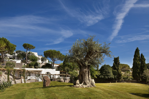 Garden & Villas Resort