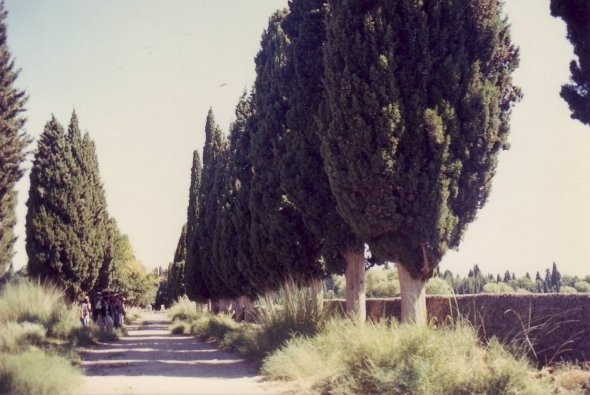 Mimla Gardens