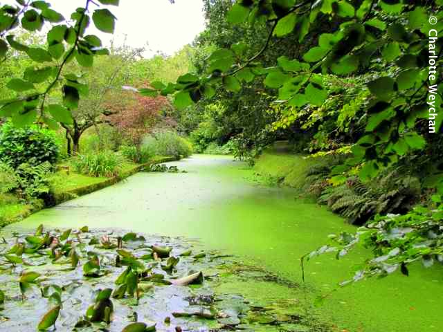 Docton Mill Garden