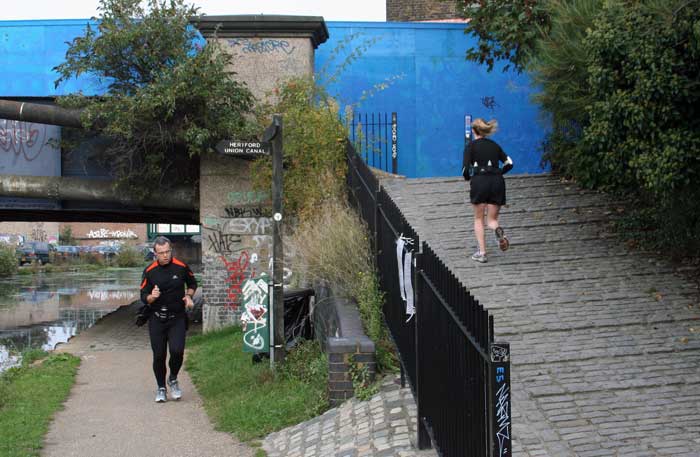 11 Mile London Olympic Fence