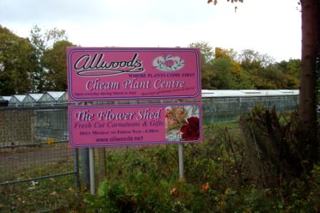 Allwoods