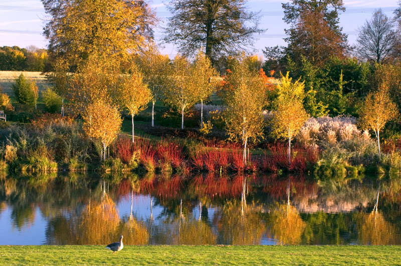Marks Hall, Autumn