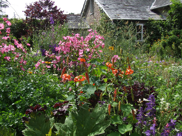 Pinsla Garden & Nursery