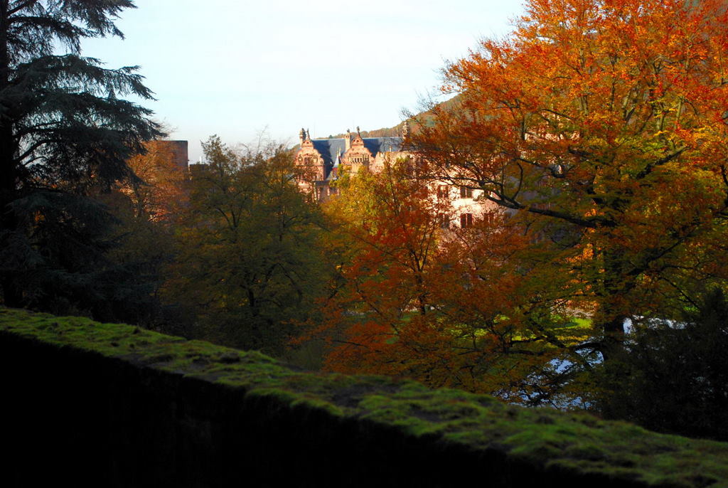 Heidelberg Schlossgarten, Autumn