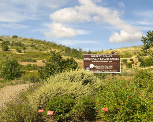 Garden Entrance