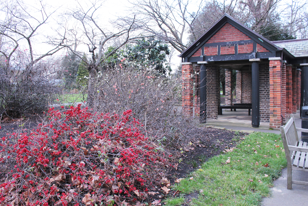 Ranelagh Gardens in Winter