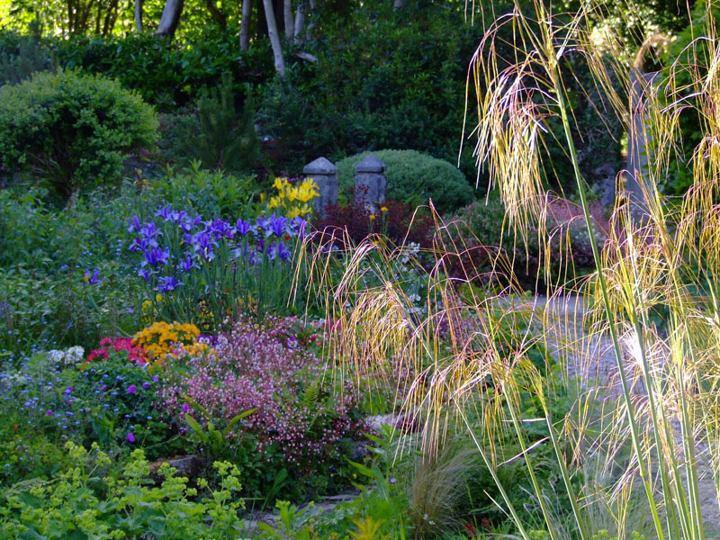 Pinsla Garden & Nursery, Cornwall