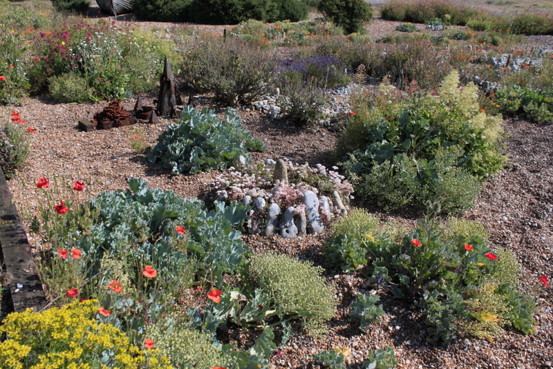Derek  Jarman Postmodern Garden Dungeness