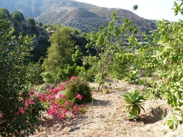 Botanical Garden of Crete, Greece