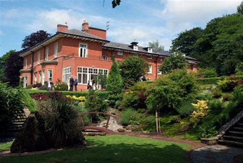 The Upper House