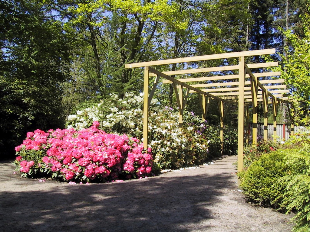 Pergola, Tambours Have