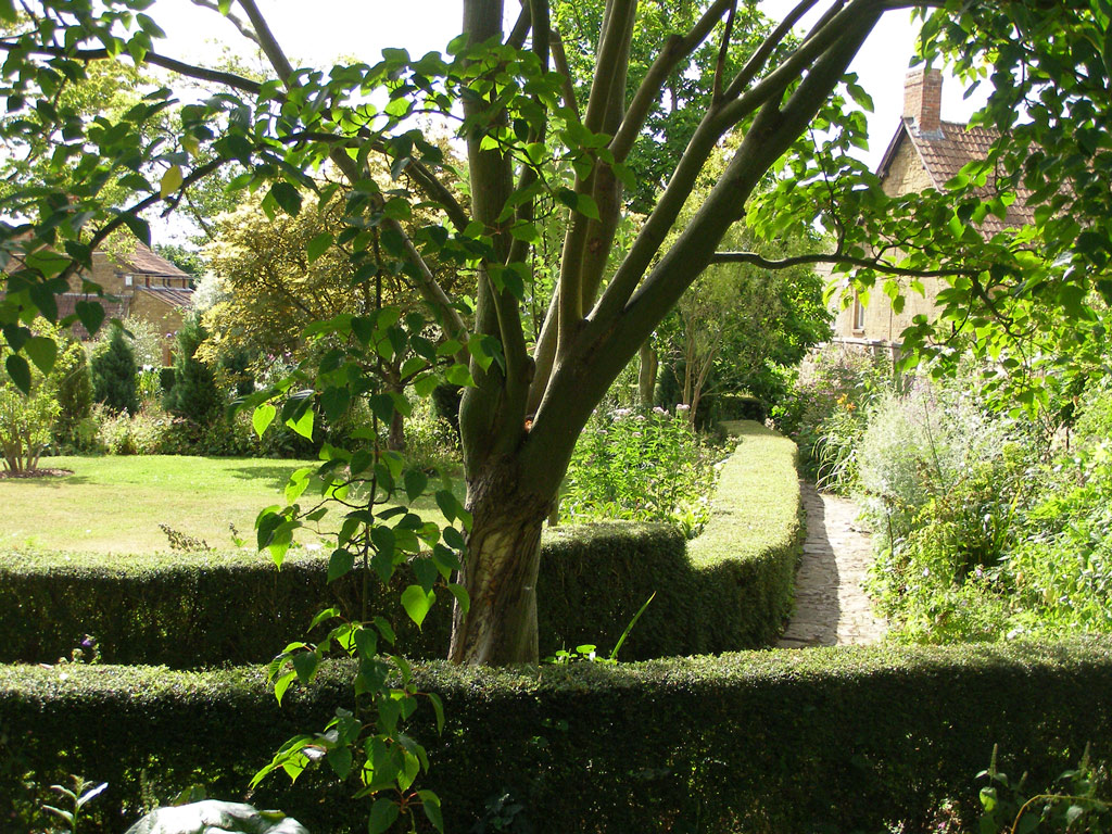 East Lambrook, Somerset,