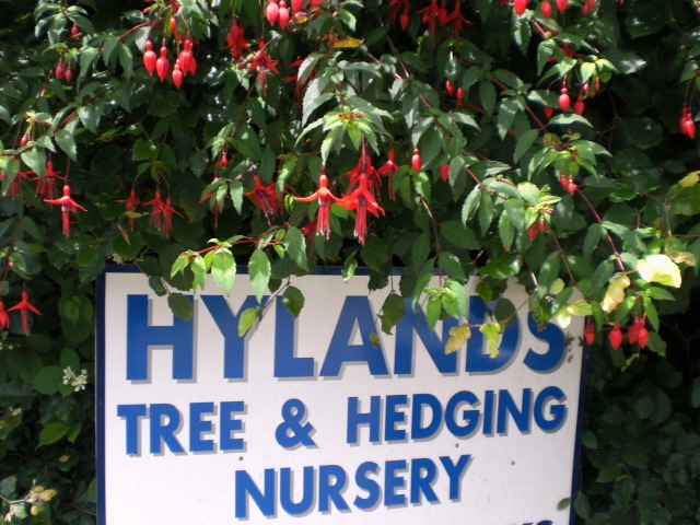 Hylands Tree & Hedging Nursery