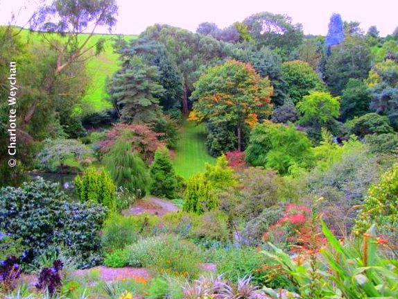 Marwood Hill Garden, September