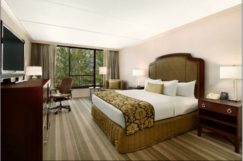 Hilton Rye Town