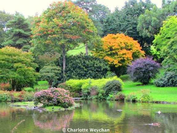 Marwood Hill Garden, 2010