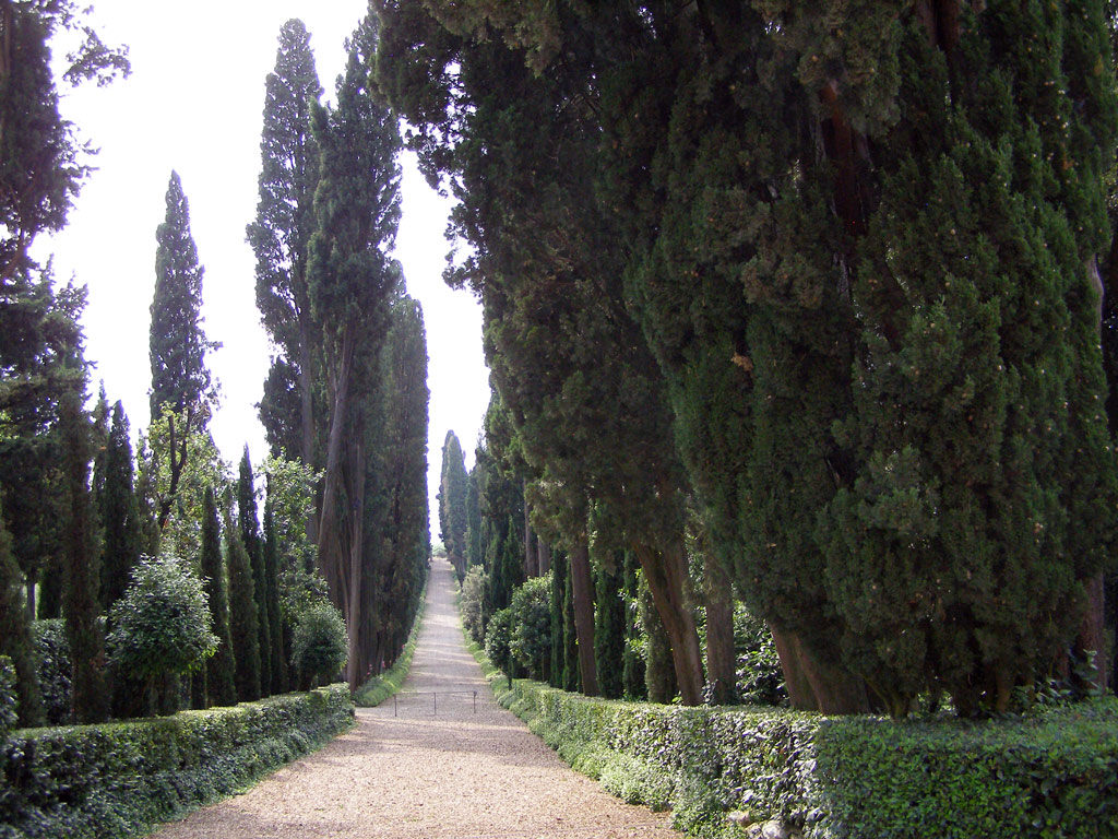 La Poggio Torselli