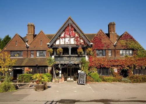 The Ely
