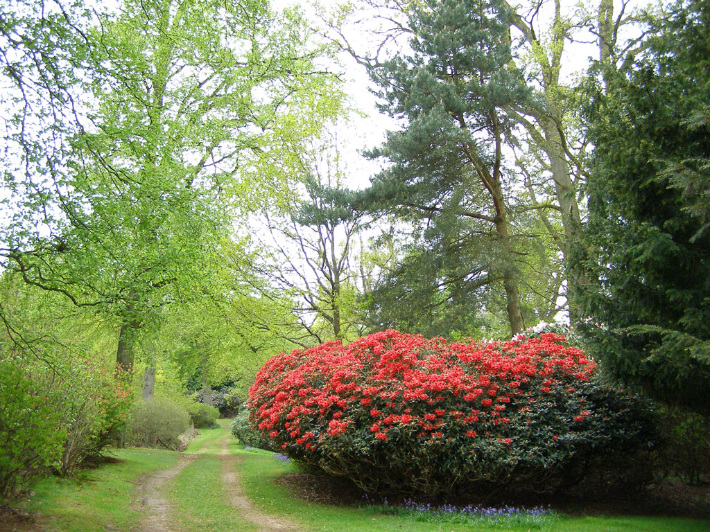 Bowood, Spring