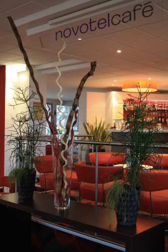 Novotel Survilliers Saint Witz