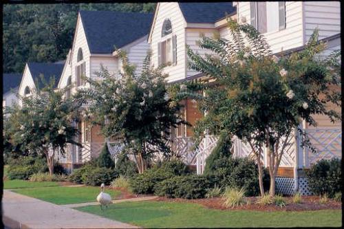 The Historic Powhatan Resort