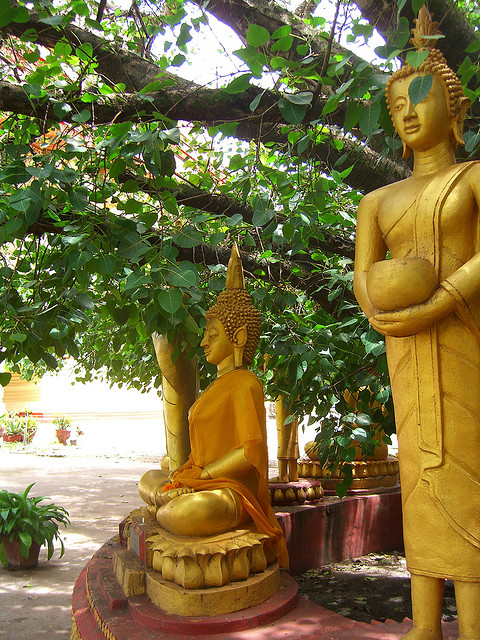 Buddhist cosmic garden sermon