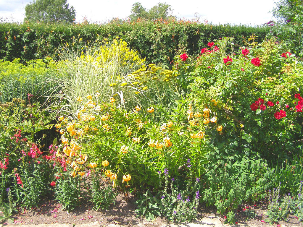 Tintinhull House Garden, Summer