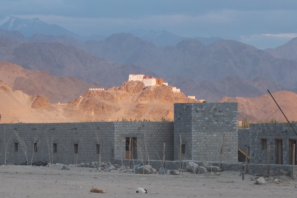 Dragon Garden Druk White Lotus School in Ladakh India Thikse Monastery
