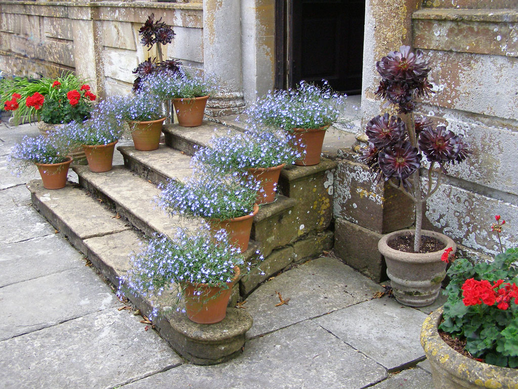 Tintinhull House Garden, Somerset