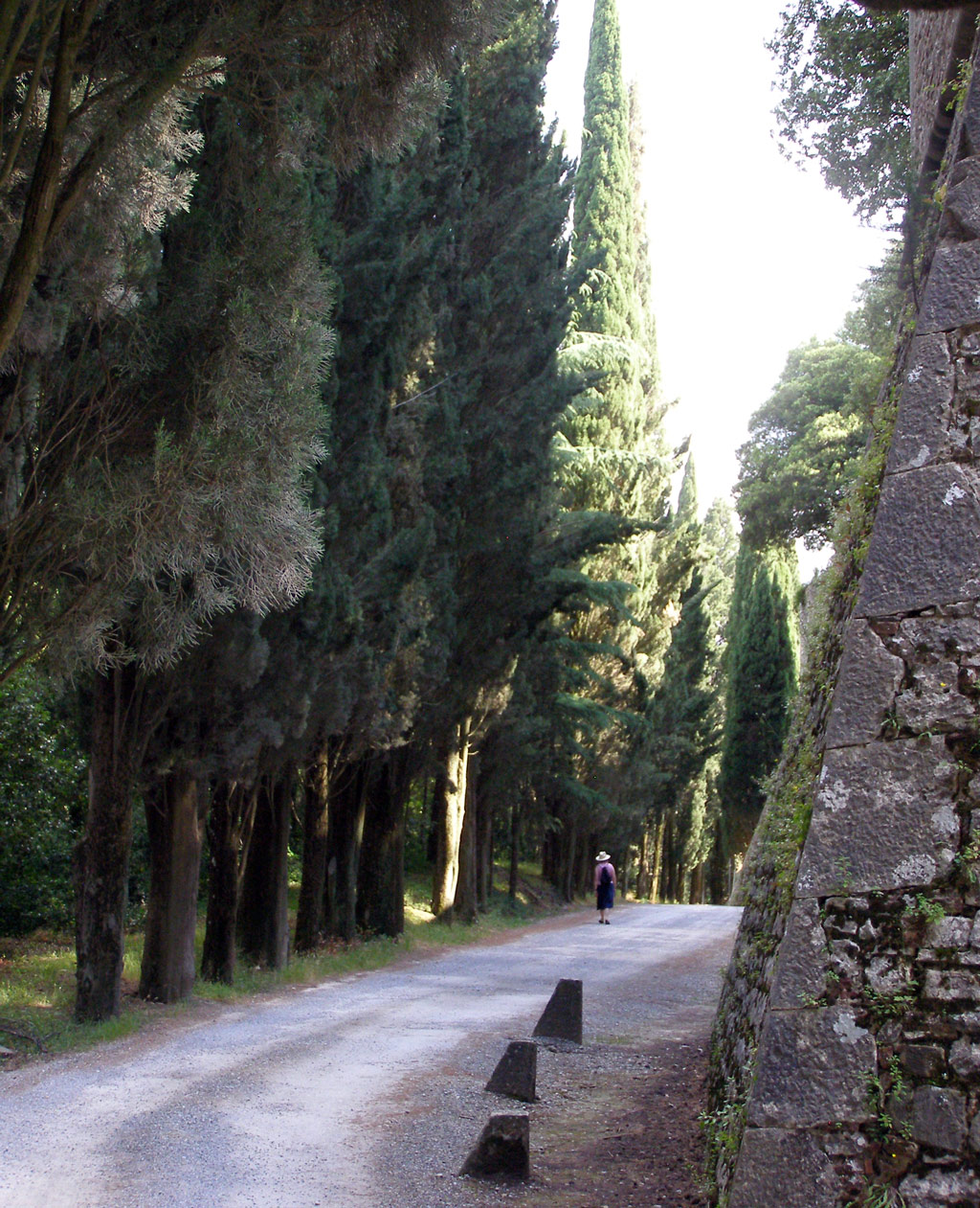 Castello di Brolio, Siena