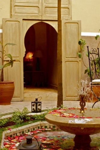 Riad Arocha