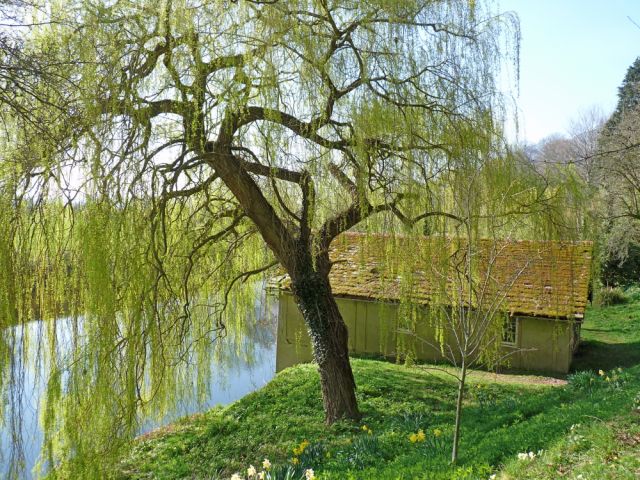 The Weir Garden, March