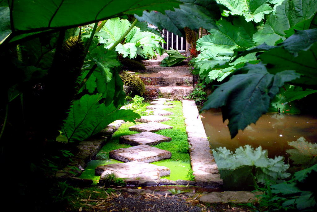 Jardins de Kerdalo, Trédarzec