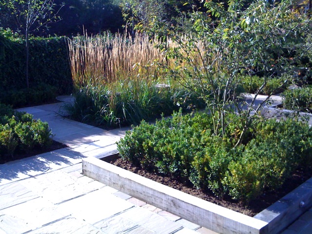 Marcus Green Horticultural Design
