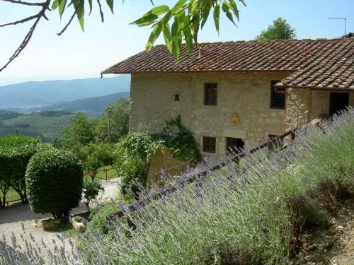 Tenuta Lonciano