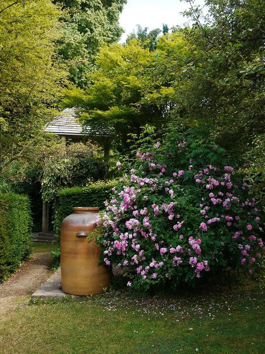 Gibberd Garden, July