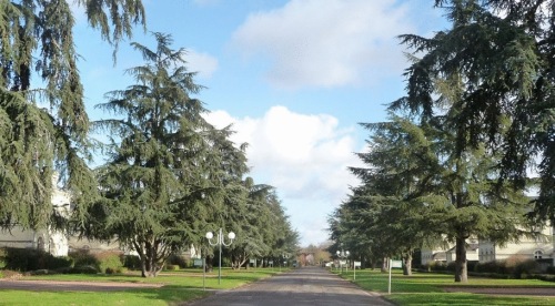 Domaine Saint Hilaire