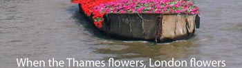 Petition for reclamation of the River Thames Landscape